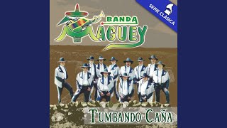 Tumbando Caña (El Alacrán) chords