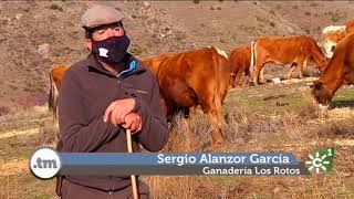 Ganaderos de alta montaña, un entorno difícil e inhóspito