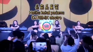 你到底是谁 hatiku kekal padamu DJ REMIX ELECTRO