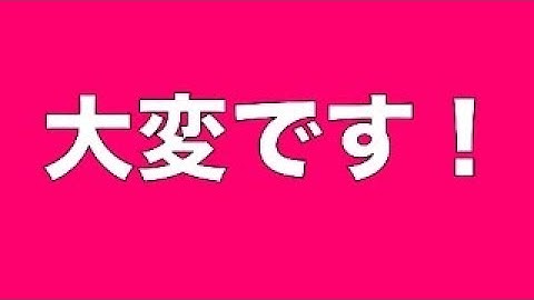 【緊急事態】野犬タキちゃんまだ見つかってないみたいです