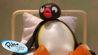 Pingu Learns His Lesson 🐧 | Fisher-Price | Cartoons For Kids