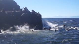 Navegando por los canales del Archipiélago de las Guaitecas - Parte I