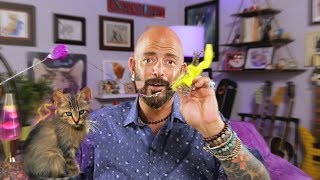 Fix Playtime With Your Cat!