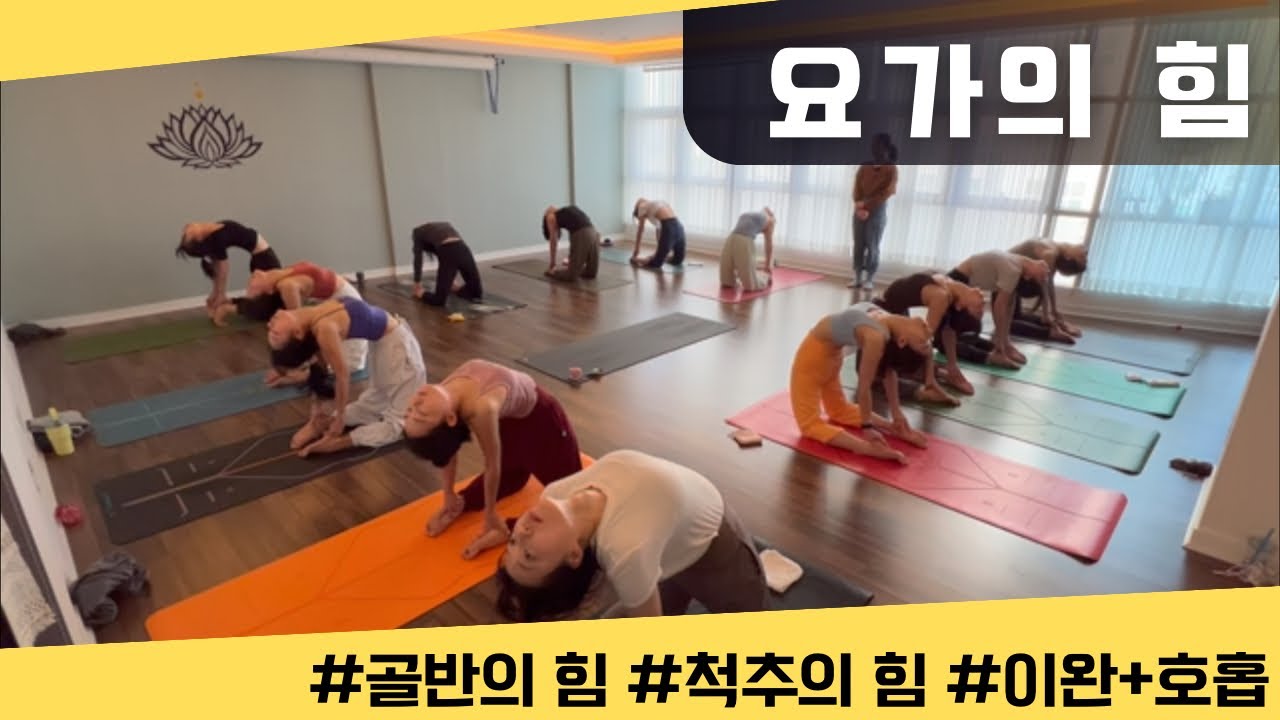 [엔젤요가] 요가의 힘 | 호홉으로 이완 | 골반과 척추의 힘