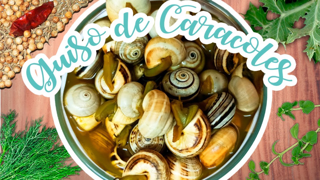 Guiso de CARACOLES en caldo🐌 | Receta tradicional Jerezana