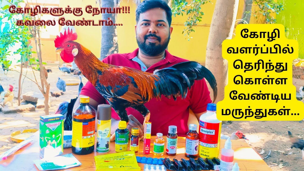 கோழிகளுக்கு நோயா?? இனி கவலை வேண்டாம்.||கோழி நோய்களுக்கான மருந்துகள் || நெல்லை நாட்டுக்கோழி வளர்ப்பு