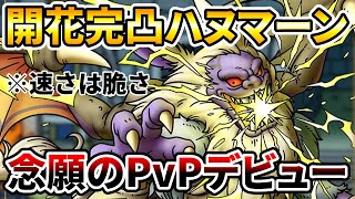 【ドラクエタクト】開花完凸ハヌマーンPvPデビュー