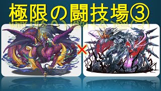 パズドラ 極限の闘技場3 ソロ ヨミドラ ヘラドラ Youtube パズドラ 極限の闘技場3 ソロ ヨミドラ ヘラドラ Youtube