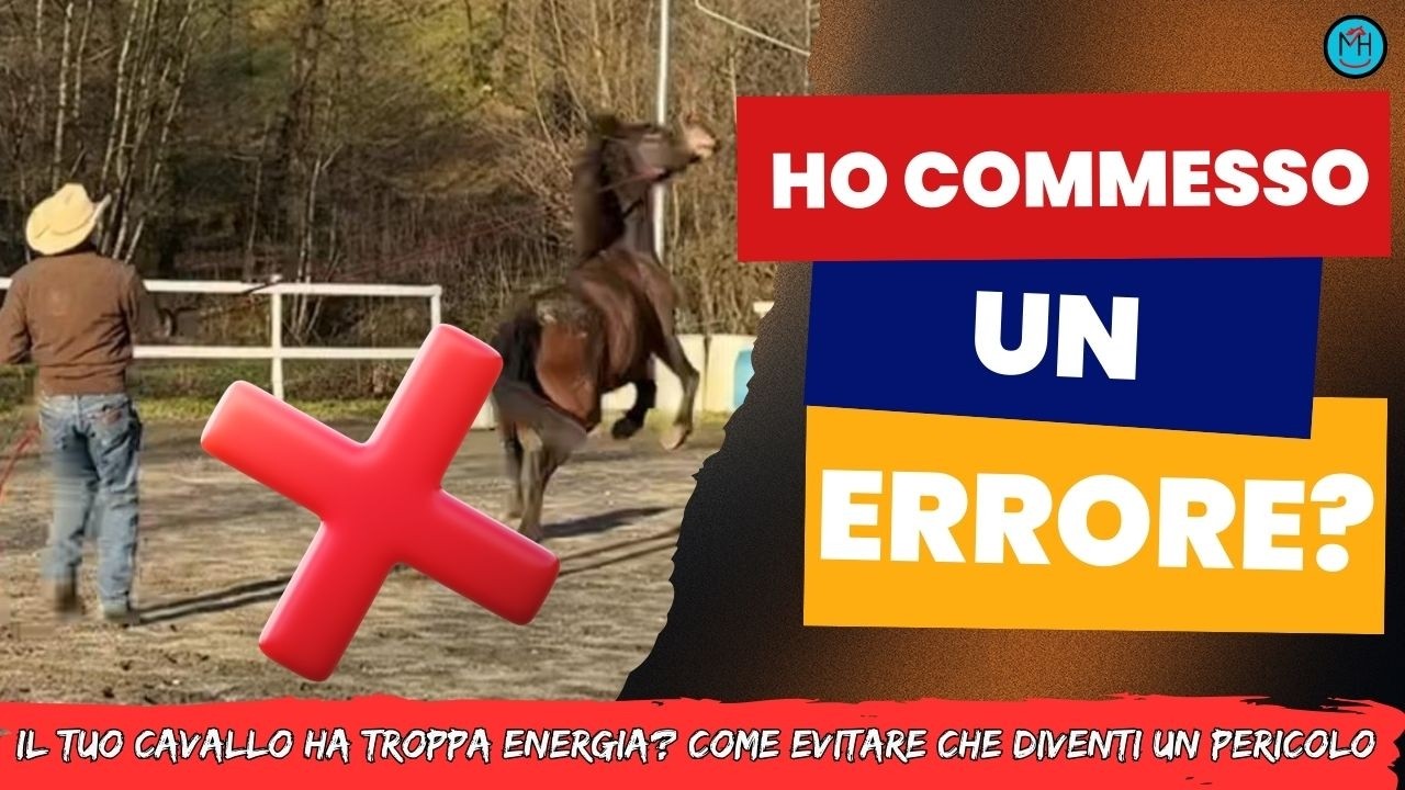 Il tuo cavallo ha troppa energia? Come evitare che diventi un pericolo