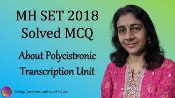 Solved MCQ MH SET 2018 | Solving Questions with Gauri ma’am
