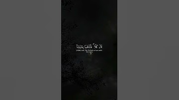 #ويضيق_صدري_ولا_ينطلق_لساني_فارسل_الى_هارون🌿#سورة_الشعراء #قرآن #اسلام_صبحي #المصحف #اكسبلور
