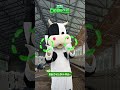 정책 다이제스트 로봇 착유 시스템 안내 영상 정책 다이제스트 로봇 착유 시스템 안내 영상