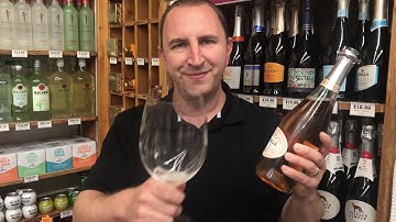 Michelle Brut Rosé | One Minute of Wine Episode #330