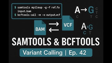 Variant Calling with Samtools & Bcftools | BAM to VCF Workflow | Ep. 42
