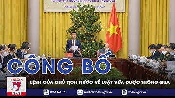 Công Bố Lệnh Của Chủ Tịch Nước Về Luật Vừa Được Thông Qua - VNEWS