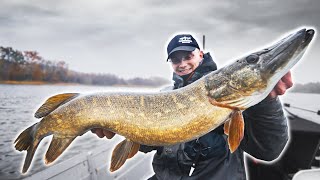 Early Winter Fishing For Pike - Lots Of Action On Shallow Water!