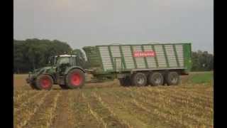 Maisernte 2013 Teil I