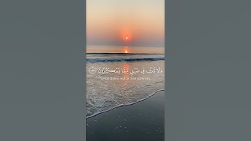 واصبر وما صبرك الا بالله..قرآن كريم بصوت القارئ اسلام صبحي