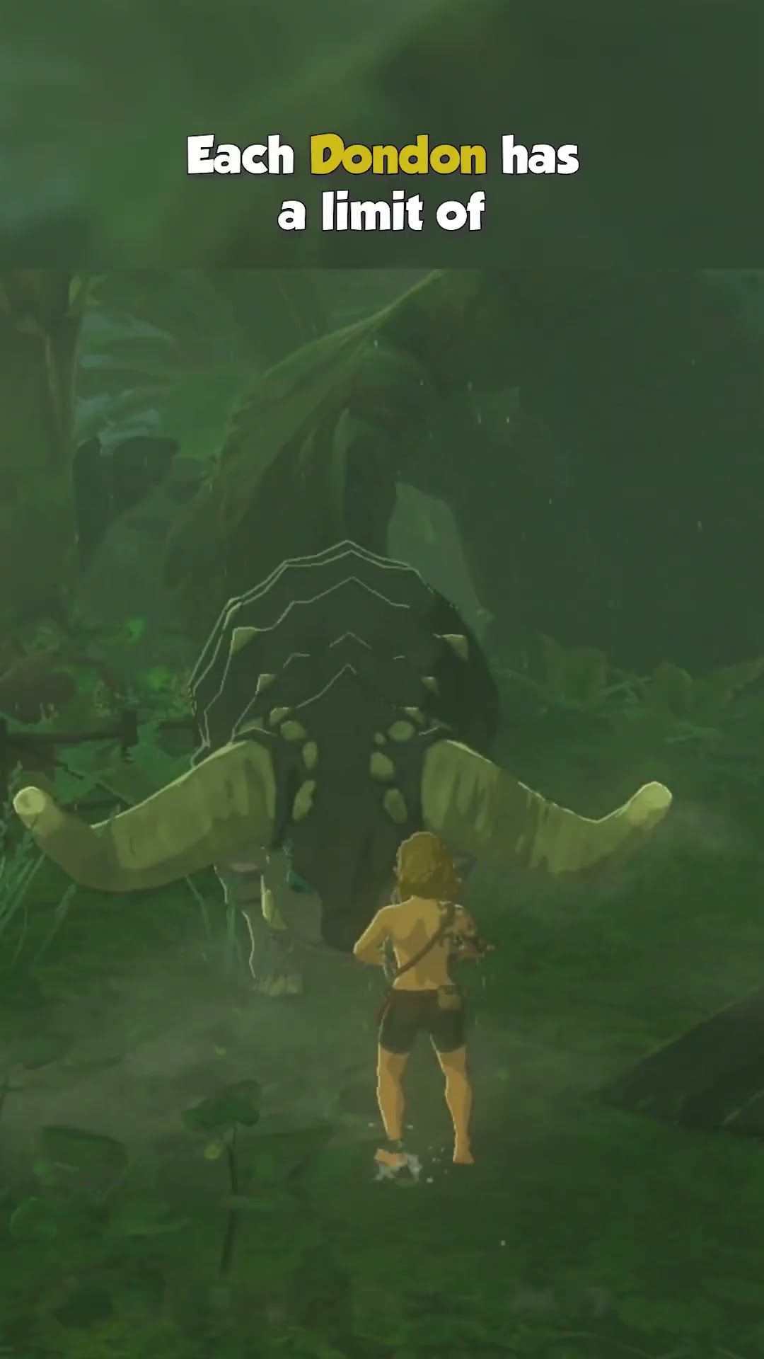 The SECRET Trick with Dondons! - Zelda Tears of the Kingdom