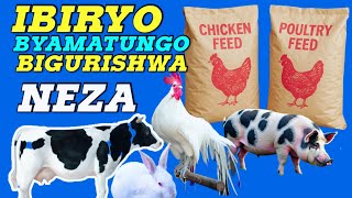 Dore Igiciro Cyiza Tugurishaho Ibiryo Byamatungo Yose