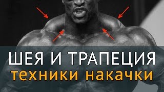 Как накачать шею и трапецию