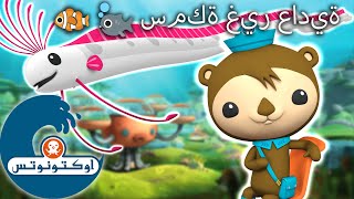 أوكتونوتس | 🐠 سمكة غير عادية  🐟 | رسوم متحركة للأطفا