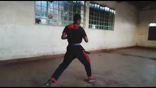 Basic form one kenpo karate screenshot 3