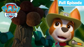 coconut catapult humdingers goose season 12 full episodes paw patrol cartoons for kids
