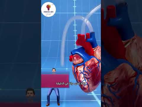 قلب الحوت الأزرق أضخم قلب بالعالم وزنه 400 كغ الحوت قلب الحوت معلومة علوم معلومات اكسبلور