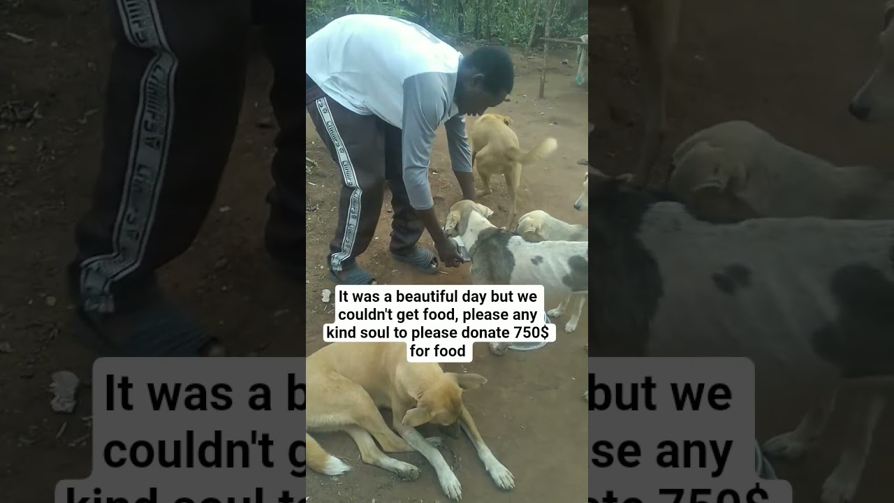 please donate to save the poor souls 