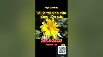 Tôi là tái sinh của nàng tiên cáo tập 3964-3965