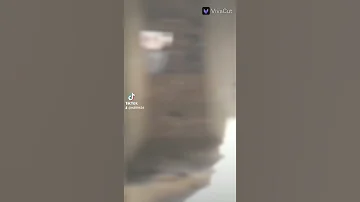 يا قطر الفرح خدنى معاك 