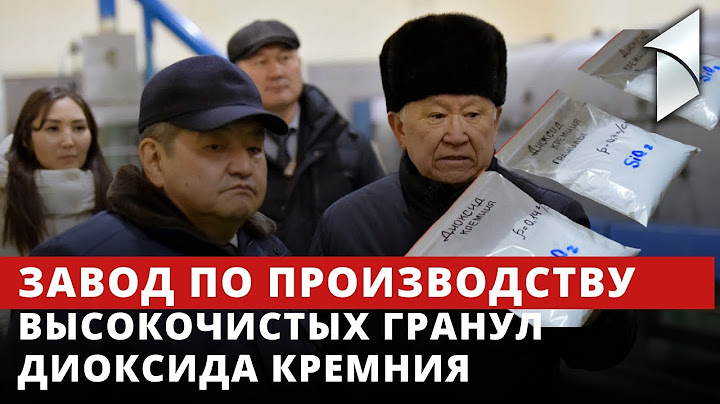 Акылбек Жапаров посетил завод по производству высокочистых гранул диоксида кремния