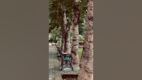 view of numl university short video #numl #islamabad #beauty #numluniversity