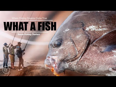 First Time Fishing in the Ocean and They Caught THIS?!