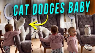 Precious Baby Keeps Trying to Touch a Playful Cat as It Dodges