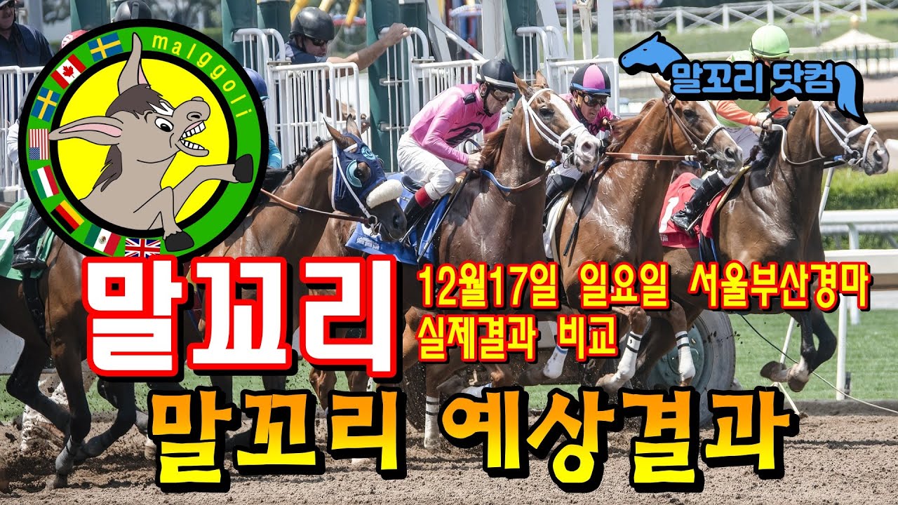 말꼬리AI 경마예상 12월17일 서울부산 경마 실제결과 - YouTube