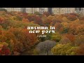 Autumn in new york  a somewhat playlist read desc