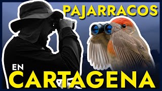 CamiloPViajes |Así fue nuestro primer AVISTAMIENTO DE AVES 🦜