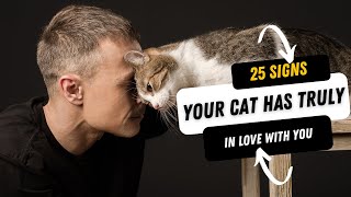 20 Heartwarming Signs Your Cat Has Truly Fallen in Love with You!