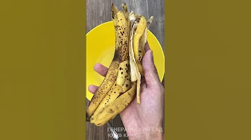Все муравьи исчезли! Супер средство от муравьев!
