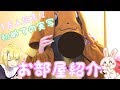 【部屋紹介】ひきこもりニートのメルヘン部屋【初実写】