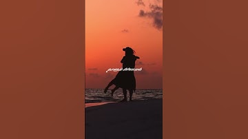 பூமாலையே தோள் சேரவா🥰 பகல் நிலவு (1985)lovesong 💞 whatsappstatus💜shorts 😘