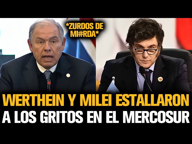 WERTHEIN Y MILEI ESTALLARON ANTE TODOS PRESIDENTES EN EL MERCOSUR