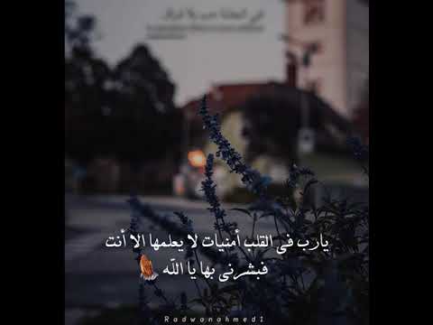 القارئ عبد الرحمن مسعد حالات واتس اب دينية