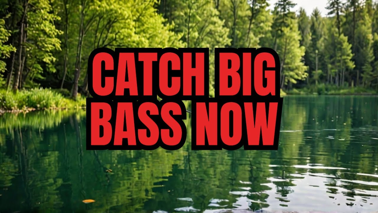How And Why You Need To Be Bass Fishing In May
