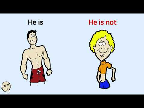 Affirmative and Negative Statements & Pronouns - Learn Grammar | Learn English - Mark Kulek ESL