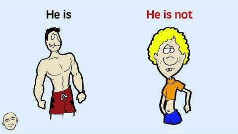 Affirmative and Negative Statements & Pronouns - Learn Grammar | Learn English - Mark Kulek ESL