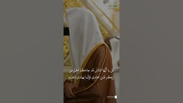 مقتطف من تلاوة فضيلة الشيخ #محمد_برهجي من صلاة الفجر الاثنين ١٦ ربيع الأول ١٤٤٧هـ#