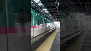 E5系U18編成はやぶさ101号＠盛岡行、盛岡駅入線